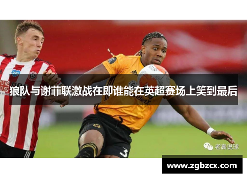 狼队与谢菲联激战在即谁能在英超赛场上笑到最后